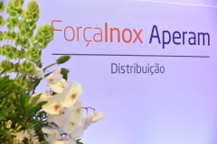 APERAM (13)_result