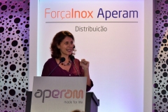 APERAM (222)_result