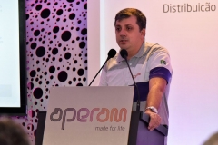 APERAM (300)_result
