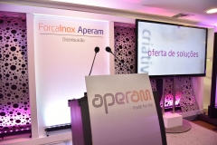 APERAM (55)_result